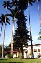 Clique aqui