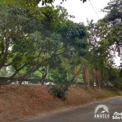2026-amasco-sao-conrado-rj-1-2