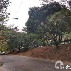 2026-amasco-sao-conrado-rj-2-2