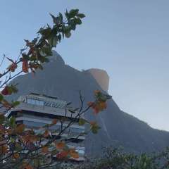 2026-amasco-arraia-sao-conrado-12