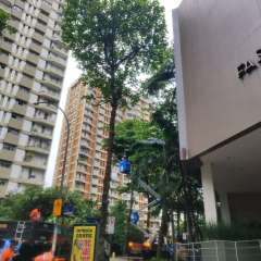 2025-amasco-nov2025-1